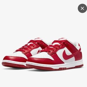 NWT Nike Dunk Low Next Nature
